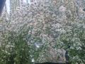 Отдельный дом · 3 комнаты · 64 м² · 6 сот., ул. Громова 18 за 20 млн ₸ в Семее, Красный Кордон — фото 19