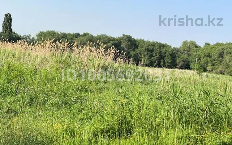 Участок · 6 соток, С.о. Райымбекский, с. Долан уч. 276/32 за 4 млн 〒 — фото 2