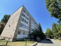 1-комнатная квартира · 35 м² · 5/5 этаж, Протозанова 111 за 18.6 млн ₸ в Усть-Каменогорске — фото 19