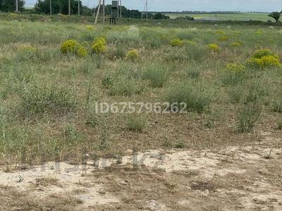 Участок · 53 сотки, Район Сайрамский, с.о. Аксукентский, село Аксу участок 1/2 за 55 млн 〒