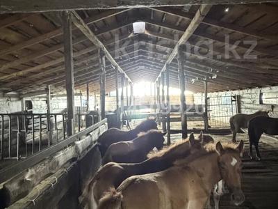 Отдельный дом · 4 комнаты · 100 м² · 25 сот., Дулатова 24/1 — Станция Тонкерис за 40 млн ₸ в 