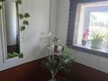 3-комнатная квартира · 57 м² · 4/5 этаж, Есет Батыра 1 за 22 млн ₸ в Хромтау — фото 7
