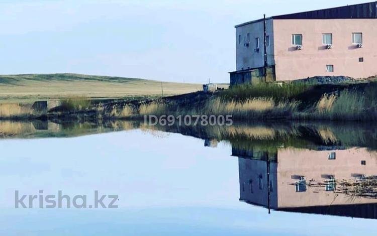 Отдельный дом · 11 комнат · 500 м² · 150 сот., Сейфуллина за 20 млн ₸ в Акмолинской обл. — фото 2