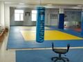 Магазины и бутики · 255 м² за ~ 1.1 млн 〒 в Астане, Алматы р-н