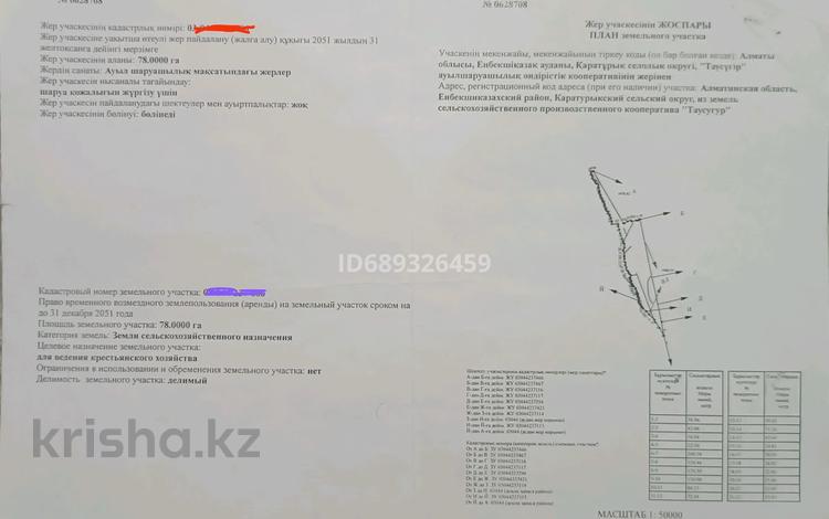 Жер телімі · 78 га, Таукаратурук, бағасы: 55 млн ₸ в  — фото 2