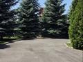 Отдельный дом · 10 комнат · 401 м² · 16 сот., Алмагуль 77 — Санаторий Березка за 250 млн ₸ в Шымбулаке — фото 3