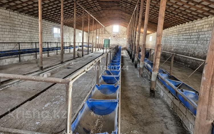 Өнеркәсіптік база · 25 сотық, Өндірістік аймақ N34, бағасы: 45 млн ₸ в  — фото 2