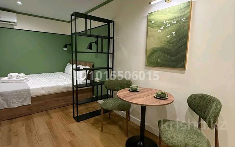 1-комнатная квартира · 18 м², Богенбай Батыра 186 за 6 000 ₸ в Алматы, Алмалинский р-н — фото 2