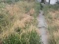 Жеке үй · 3 бөлме · 150 м² · 7 жүзд., Восточный левый 474 — Остановка развилка улица между магазинами Ерасыл и Мик шоп, бағасы: 25 млн ₸ в Семее — фото 5
