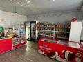 Жеке үй · 4 бөлме · 150 м² · 25 жүзд., Бакыбек Достык 33 — Кизень, бағасы: 20 млн ₸ в им. Турара рыскуловой — фото 17