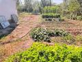 Жеке үй · 4 бөлме · 130 м² · 14 жүзд., Нур Ислаева, бағасы: 19 млн ₸ в Чундже — фото 3