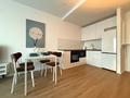 2-бөлмелі пәтер · 48 м² · 9/18 қабат, Розыбакиева 237, бағасы: 25 000 ₸ в Алматы, Бостандыкский р-н — фото 9