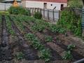 Участок · 6.2 сотки, Павлодарская 102 — Потанина за 10.5 млн ₸ в Семее — фото 5