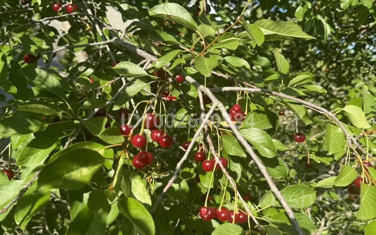 Жер телімі · 7.28 сотық, Көкарна, бағасы: 6 млн ₸ в Кокарне — фото 2