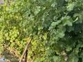 Жер телімі · 7.28 сотық, Көкарна, бағасы: 6 млн ₸ в Кокарне — фото 2