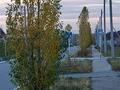 Жеке үй · 3 бөлме · 95 м² · 10 жүзд., Аубакирова 82, бағасы: 60 млн ₸ в Мичуринское — фото 2