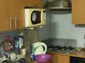 Отдельный дом · 2 комнаты · 43 м² · 43 сот., Новая 52 за 120 000 ₸ в Петропавловске — фото 4