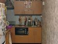 Отдельный дом · 2 комнаты · 43 м² · 43 сот., Новая 52 за 120 000 ₸ в Петропавловске — фото 5
