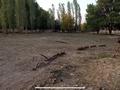 Жер телімі · 25 сотық, Қаратау ауд., бағасы: 17 млн ₸ в Шымкенте, Каратауский р-н — фото 12