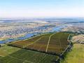 Участок · 99 га, Коккайнар за 551 млн ₸