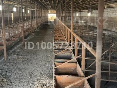Готовый бизнес откорм база 15 гектар · 15000 м² за 50 млн 〒 в Атырау