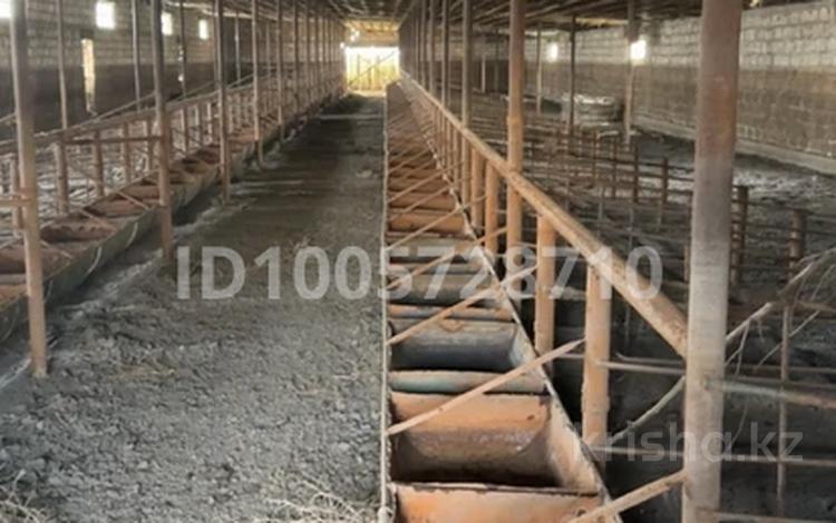 Готовый бизнес откорм база 15 гектар · 15000 м² за 50 млн ₸ в Атырау — фото 11