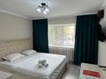 1-комнатная квартира · 25 м² · 2/5 этаж, Манаса — Кудайбердулы за 13 000 ₸ в Астане, Алматы р-н — фото 20