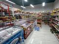 Готовый бизнес продуктовый магазин · 100 м², бағасы: 46 млн ₸ в Астане, Нура р-н