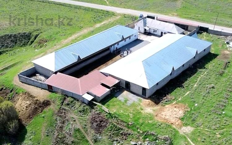 Сельское хозяйство · 800 м² за 150 млн 〒 в Касымбек датка — фото 2