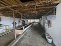 Сельское хозяйство · 800 м² за 150 млн 〒 в Касымбек датка — фото 17