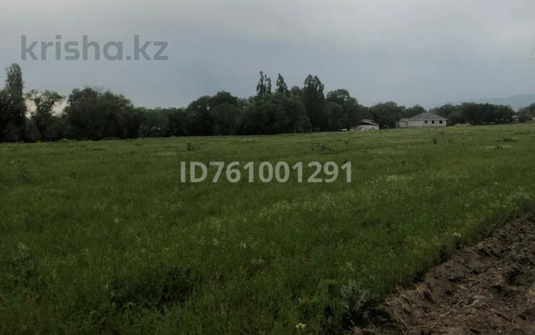 Жер телімі · 635 сотық, Байтерек (Новоалексеевка), бағасы: 111 млн ₸ — фото 2