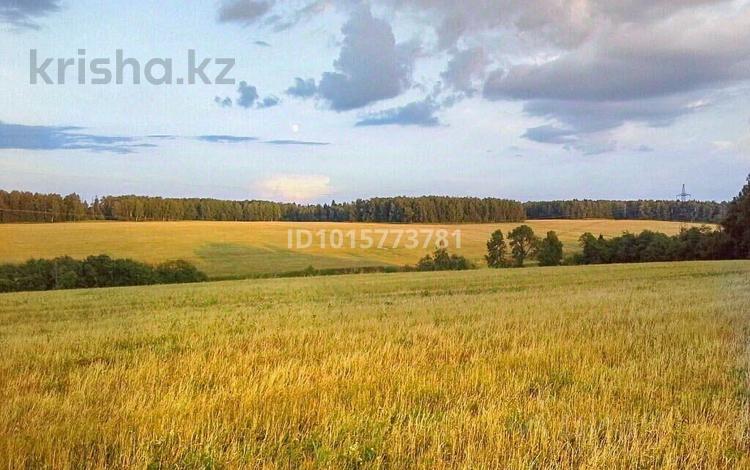 Жер телімі · 300 га, Алатау, бағасы: 1 млрд ₸ — фото 2