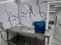 Свободное назначение · 320 м² за 200 млн ₸ в Астане, Алматы р-н — фото 12