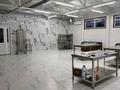 Свободное назначение · 320 м² за 200 млн ₸ в Астане, Алматы р-н — фото 23