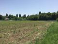 Свободное назначение · 1100 м² за 170 млн ₸ в Жаугаштах