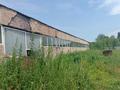 Свободное назначение · 1100 м² за 170 млн ₸ в Жаугаштах — фото 17
