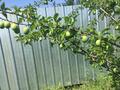 Свободное назначение · 1100 м² за 170 млн ₸ в Жаугаштах — фото 5