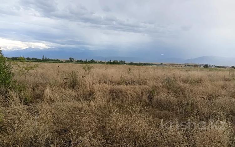 Жер телімі · 1 га, Тұрар, бағасы: 21 млн ₸ в  — фото 2