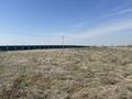 Участок · 1 га, мкр Тассай за 260 млн ₸ в Шымкенте, Каратауский р-н — фото 10