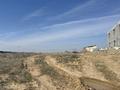 Участок · 1 га, мкр Тассай за 260 млн ₸ в Шымкенте, Каратауский р-н — фото 3
