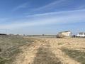 Участок · 1 га, мкр Тассай за 260 млн ₸ в Шымкенте, Каратауский р-н — фото 6