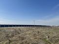 Участок · 1 га, мкр Тассай за 260 млн ₸ в Шымкенте, Каратауский р-н — фото 7