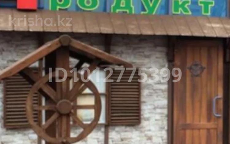 Продуктовый магазин · 43 м² за 40 млн 〒 в Астане, р-н Байконур — фото 9
