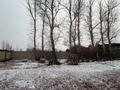Жеке үй · 4 бөлме · 200 м² · 14 сот., Нура-Ишим 102, бағасы: 55 млн ₸ в Косшы — фото 10