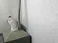 Отдельный дом · 3 комнаты · 60 м² · 7 сот., Восточный правый 5874 за 15 млн ₸ в Семее — фото 22