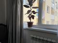 2-комнатная квартира · 68 м² · 3/5 этаж, мкр Саялы 77 — Авто цон за 250 000 ₸ в Алматы, Алатауский р-н — фото 22