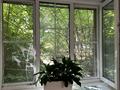 3-комнатная квартира · 61.9 м² · 1/4 этаж, Назарбаева 270 — Хаджимукана за 60.5 млн ₸ в Алматы, Медеуский р-н — фото 27