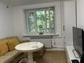 3-комнатная квартира · 61.9 м² · 1/4 этаж, Назарбаева 270 — Хаджимукана за 60 млн ₸ в Алматы, Медеуский р-н — фото 24