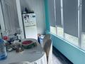 2-бөлмелі пәтер · 47.7 м² · 4/4 қабат, 2 микрорайон 1 — Садик Искорка, 3 школа и 2 школа гимназия, бағасы: 26.5 млн ₸ в Конаеве — фото 10