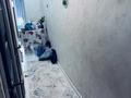 2-бөлмелі пәтер · 47.7 м² · 4/4 қабат, 2 микрорайон 1 — Садик Искорка, 3 школа и 2 школа гимназия, бағасы: 26.5 млн ₸ в Конаеве — фото 3